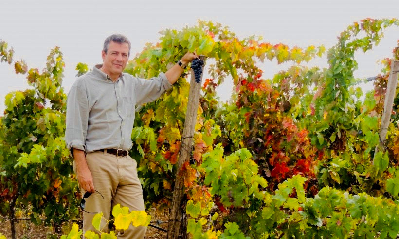 Winemaker, Javier Bohórquez, standing by one of his vineyards. On the vines, the leaves are turning from green to brown.