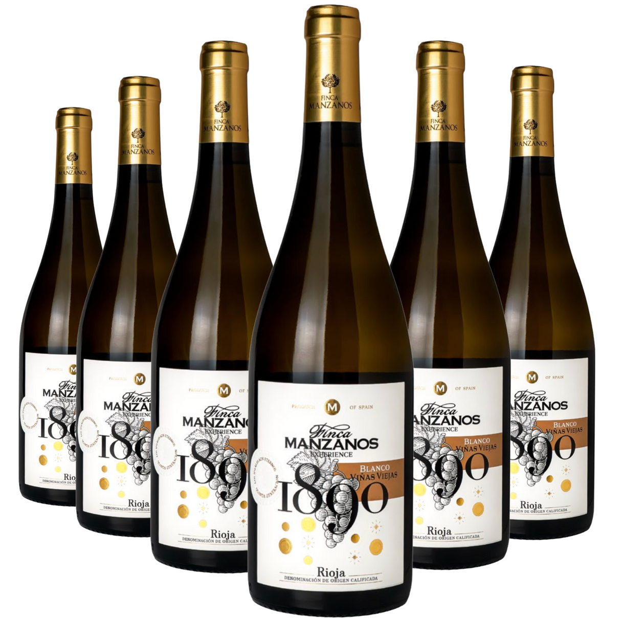 Finca Manzanos, 1890 Rioja Blanco, Viñas Viejas 2023 Six-Bottle-Case