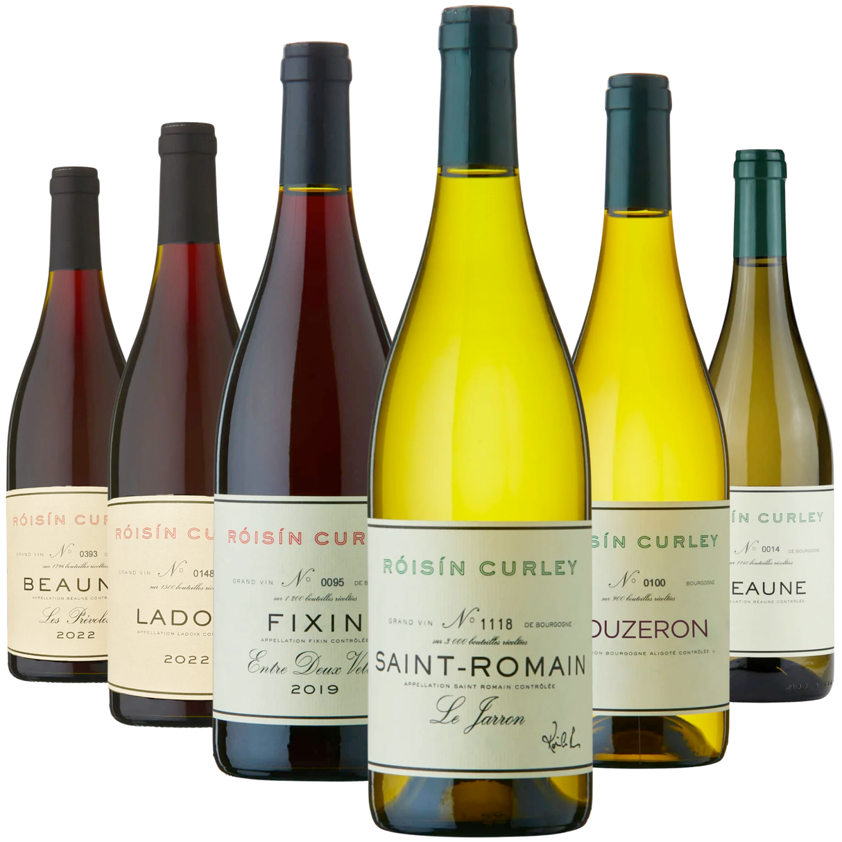Róisín Curley, Burgundian Tasting Case, 6-Pack