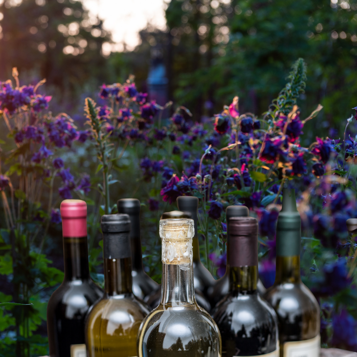 The Allotment's "Mixed Seeds" Mixed Case - 6 bottles