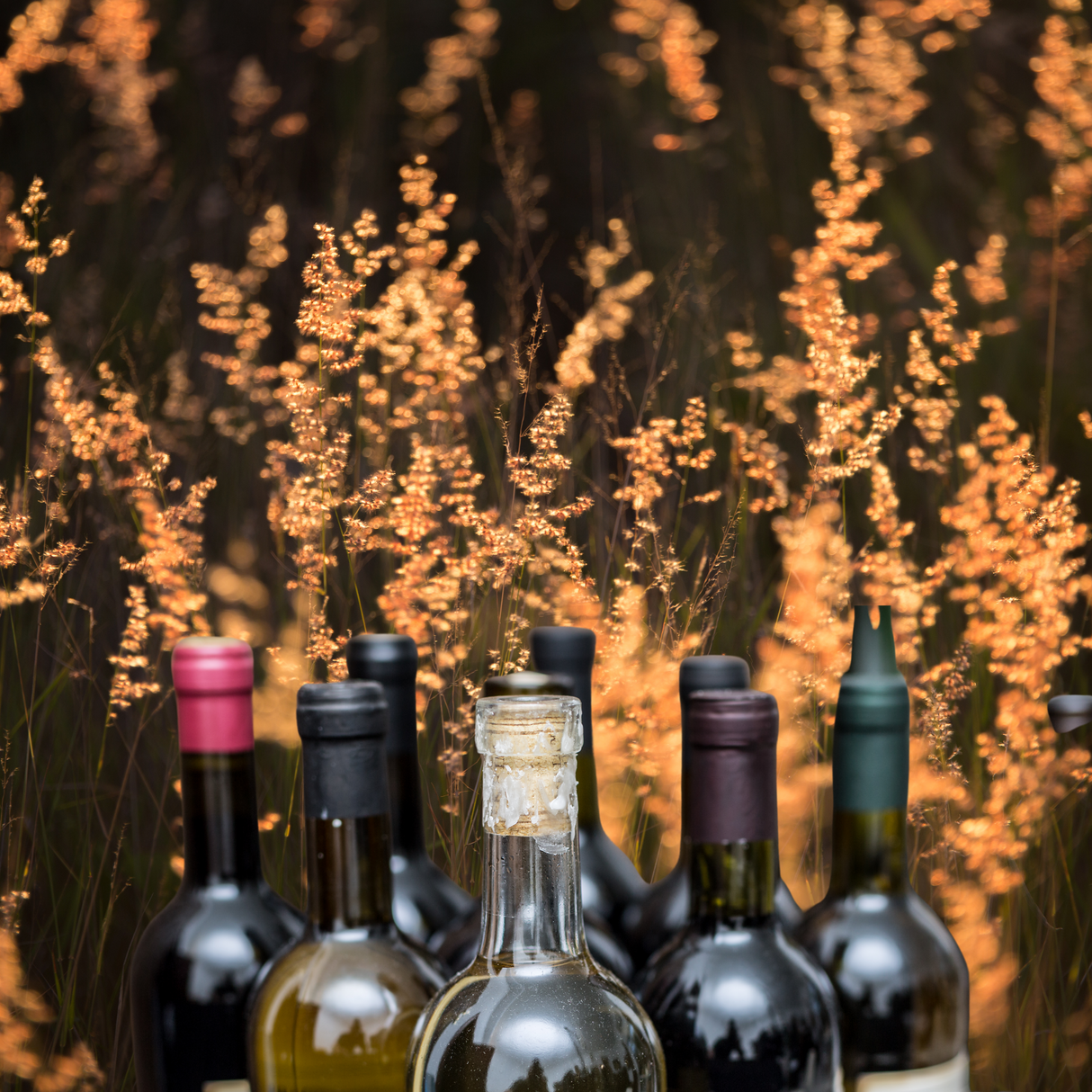 The Allotment's "Mixed Seeds" Mixed Case - 12 bottles