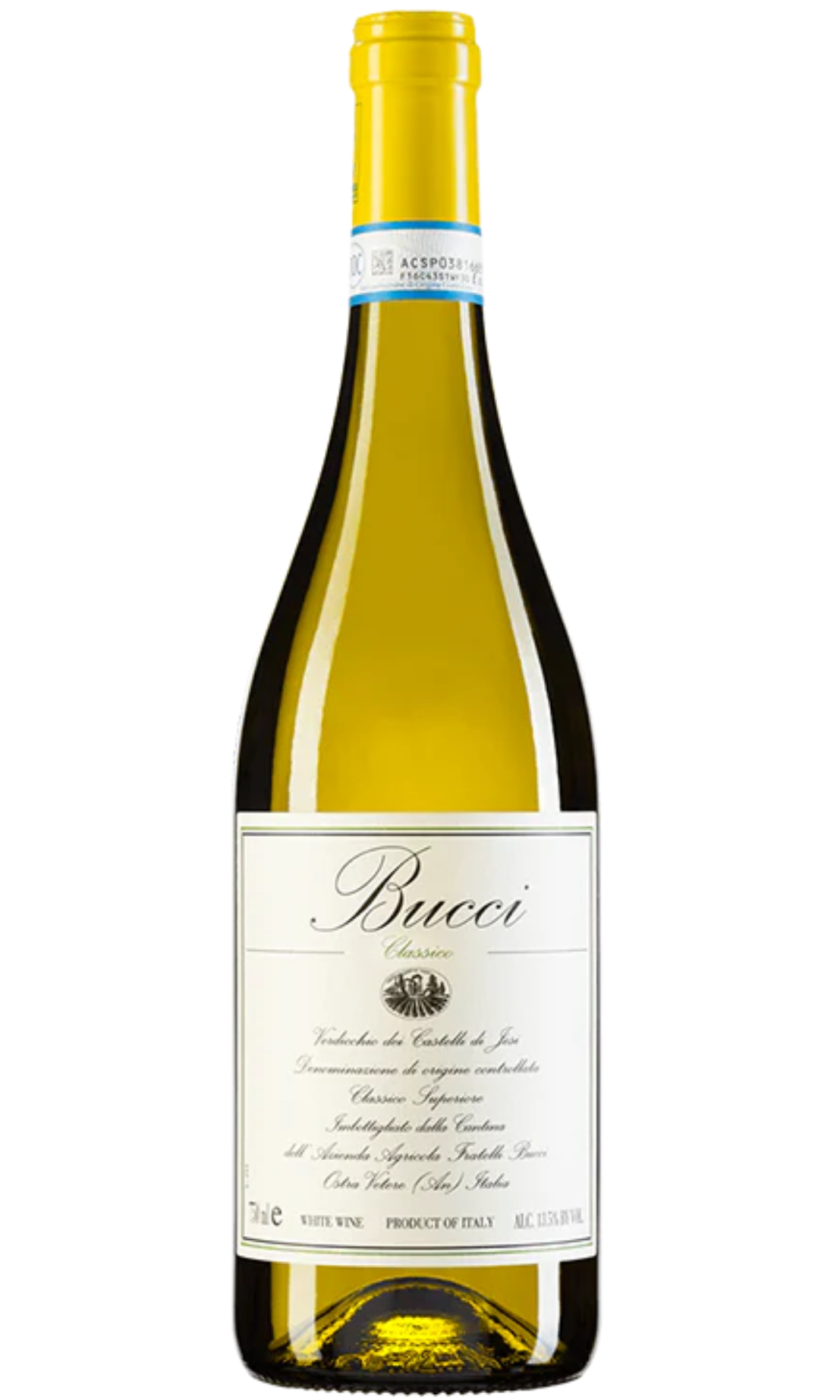 Bucci, Verdicchio dei Castelli di Jesi, Classico Superiore