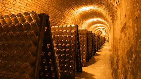 Champagne bottles in the riddling step of production 