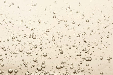 The Ultimate Champagne Guide