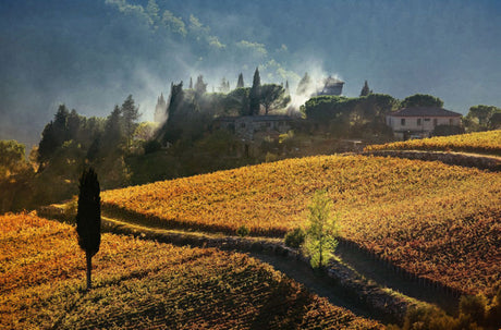 A brief history of Chianti