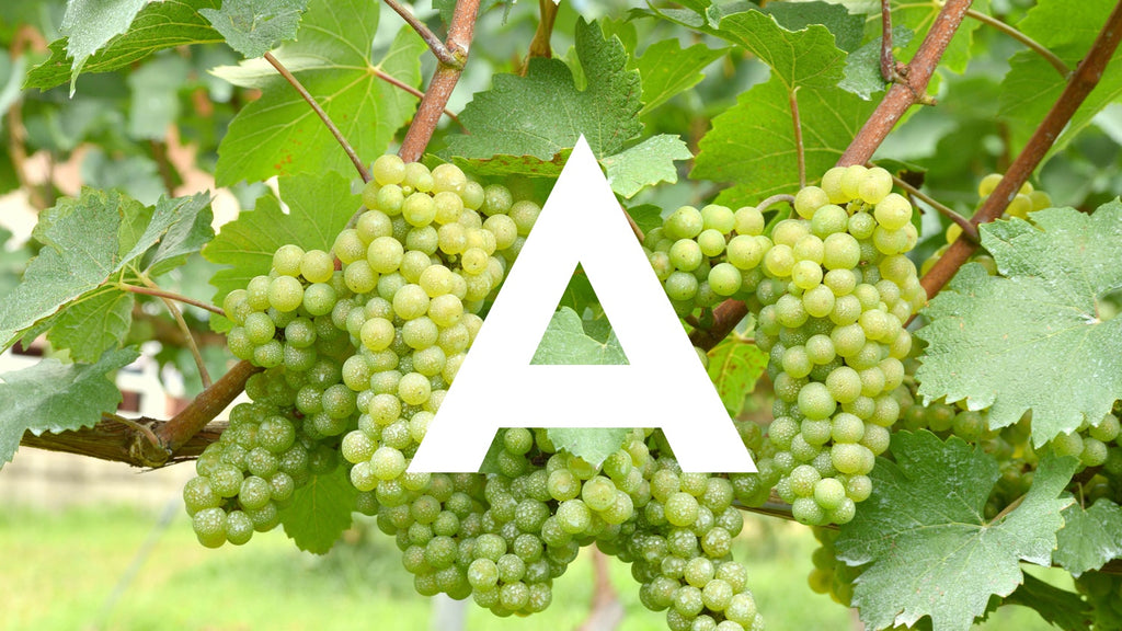 The ultimate A-Z of grapes. A is for...