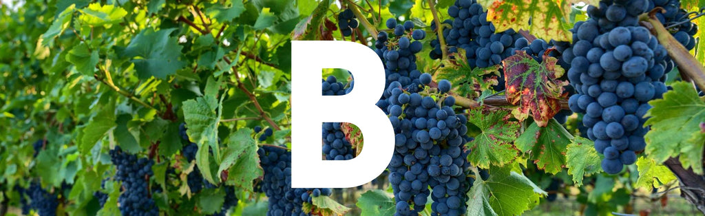 The ultimate A-Z of grapes. B is for...