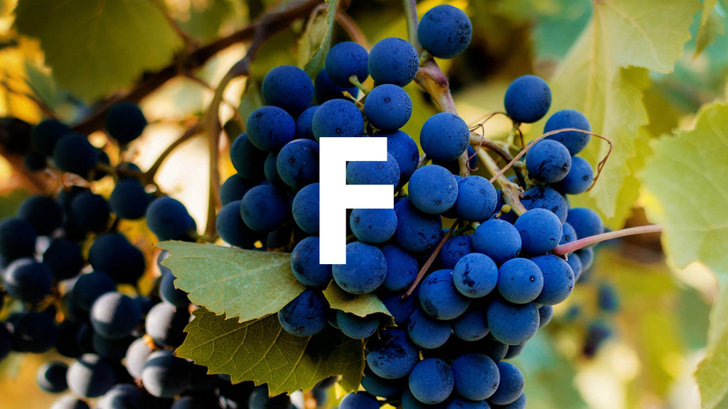 The ultimate A-Z of grapes. F is for...