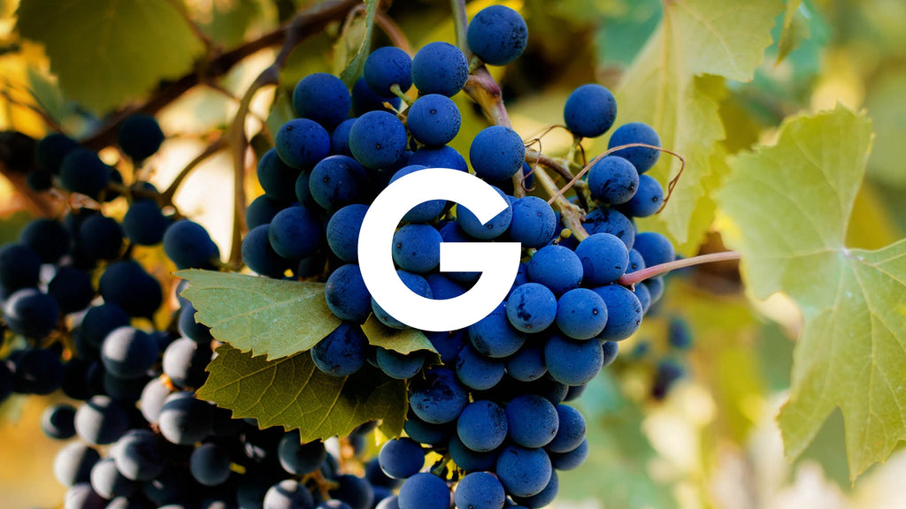 The ultimate A-Z of grapes: G
