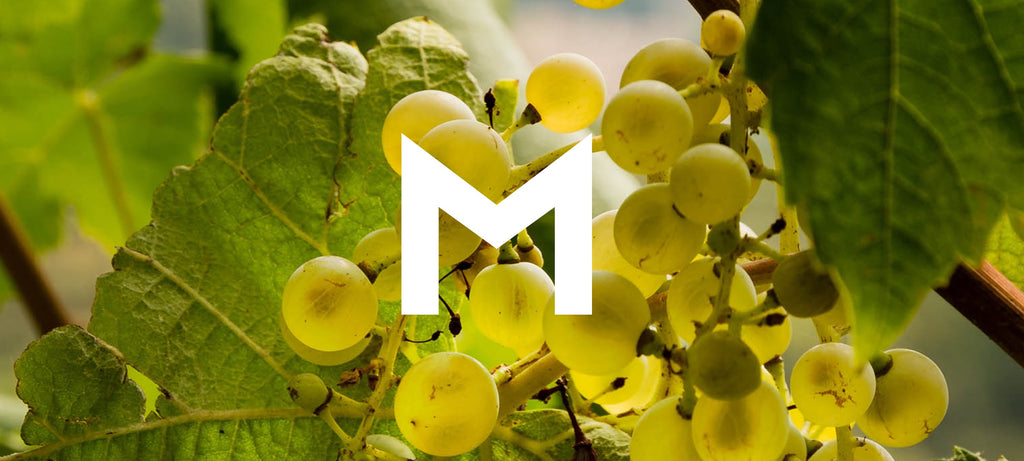 The ultimate A-Z of grapes: M