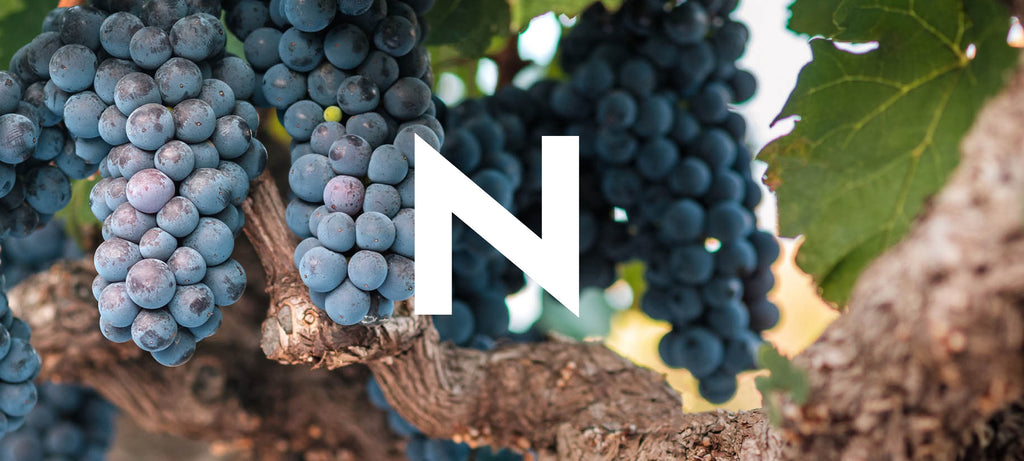The ultimate A-Z of grapes: N