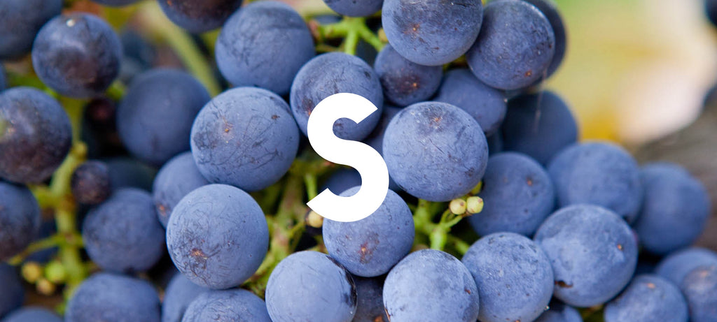 The ultimate A-Z of grapes: S