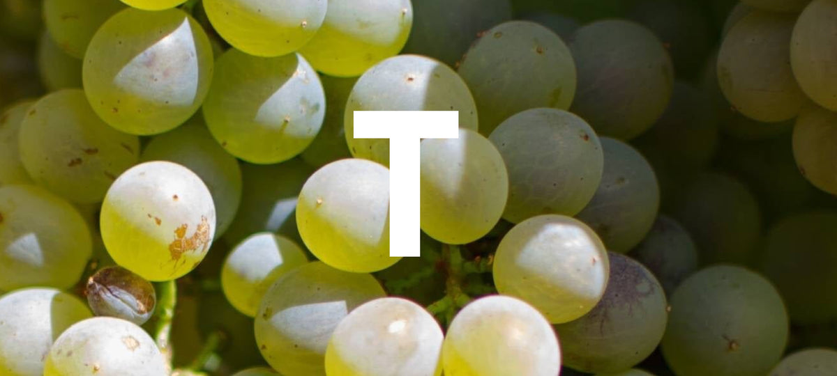 The ultimate A-Z of grapes: T – The Allotment Wine Company