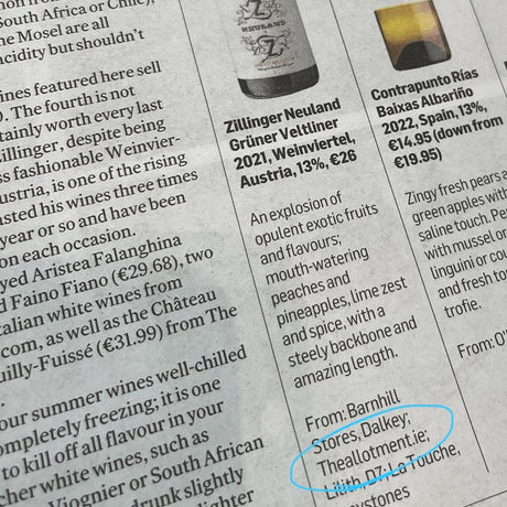 Zillinger featured in The Irish Times