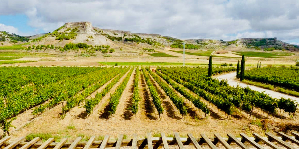 Introducing the wines of Javier Bohórquez, Ribera del Duero