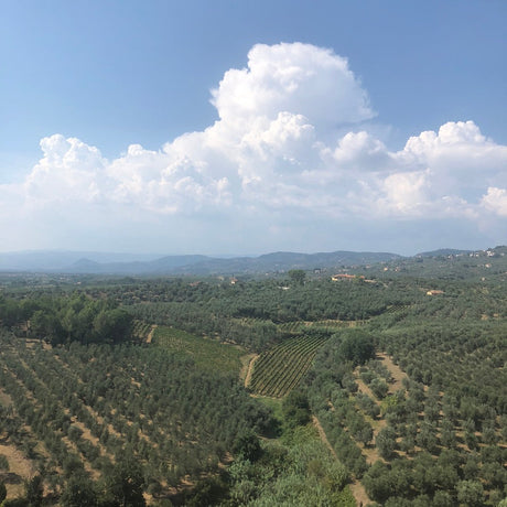 Tenuta Cantagallo Le Farnete