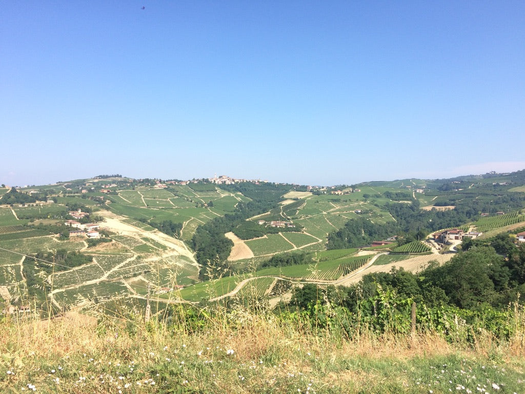 Wines of Giorgio Pelissero, Barbaresco