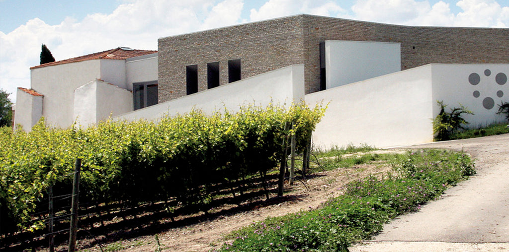 The wines of Alberto Longo, Puglia