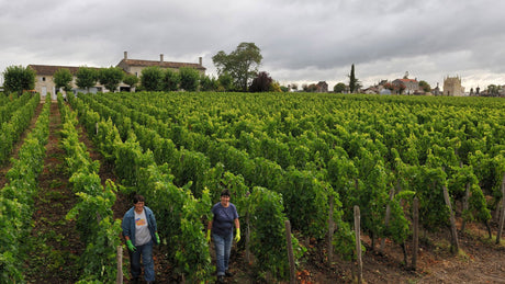 Denis Durantou, Bordeaux