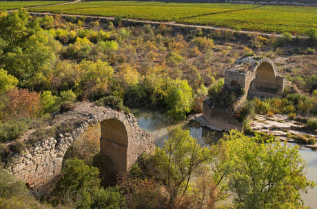 Bodegas LAN Rioja