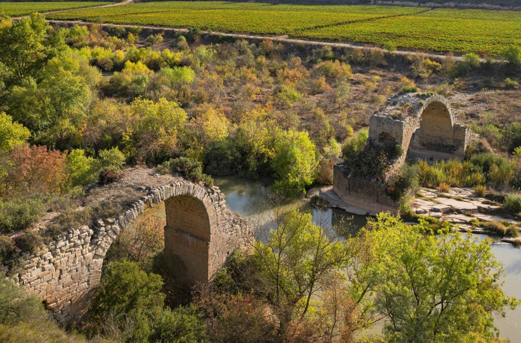 Bodegas LAN Rioja