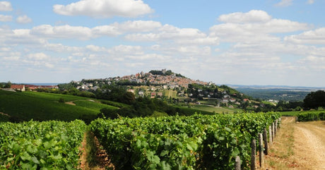 The Wines of Jean Colin, Sancerre
