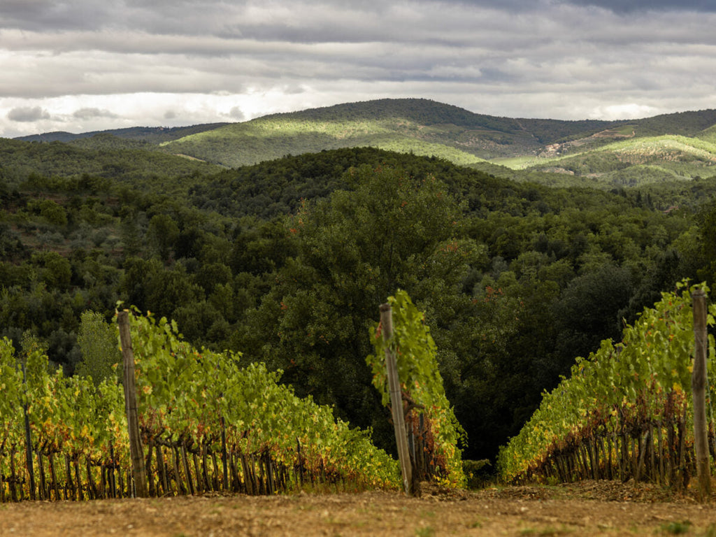 Dievole, Chianti Classico