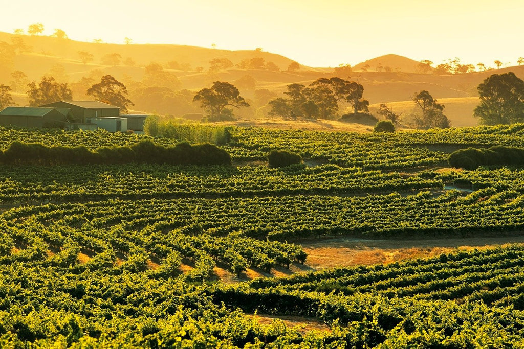 Australian wines