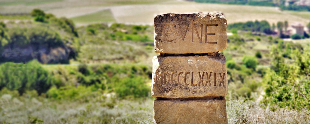 Wines from CVNE