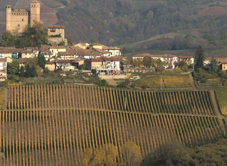 Gaja