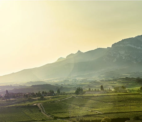 La Rioja Alta