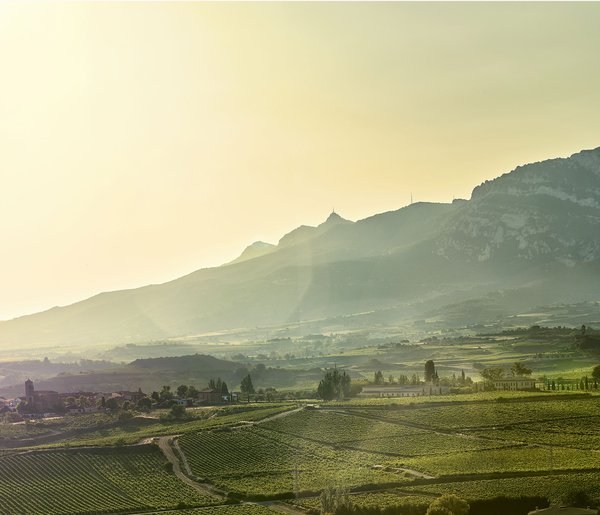 La Rioja Alta