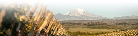Kaiken Wines, Argentina