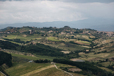 Wines of Tuscany