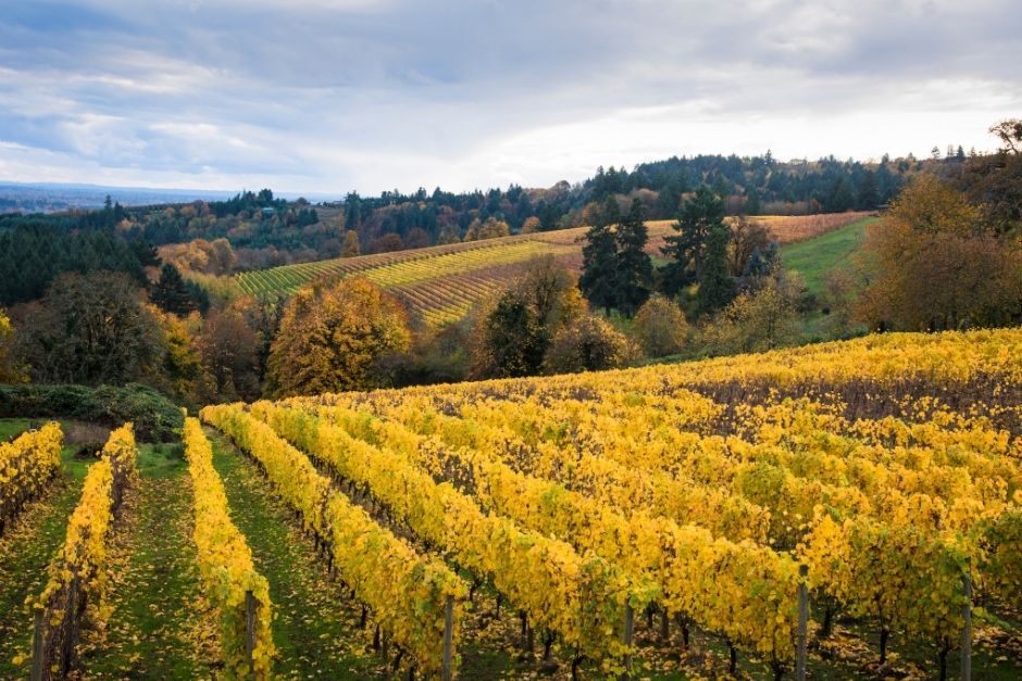 American Wines