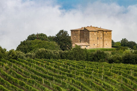 Sangiovese