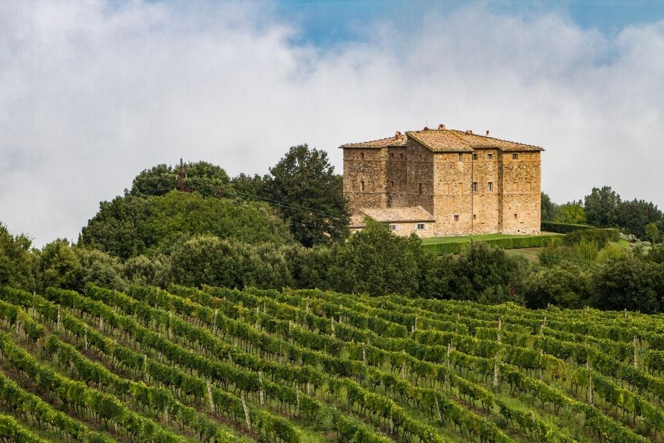 Sangiovese