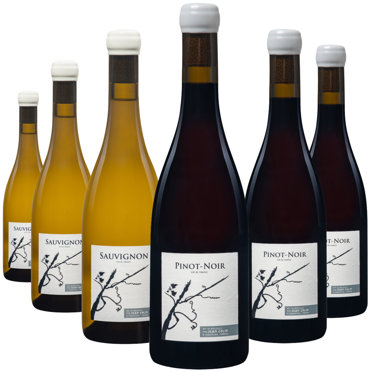 Jean Colin,Vin de France 6-Bottle Mixed Case