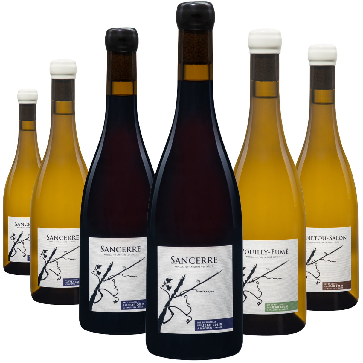 Jean Colin, Treasures Of The Loire 6-Bottle Case
