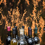 The Allotment's "Mixed Seeds" Mixed Case - 12 bottles