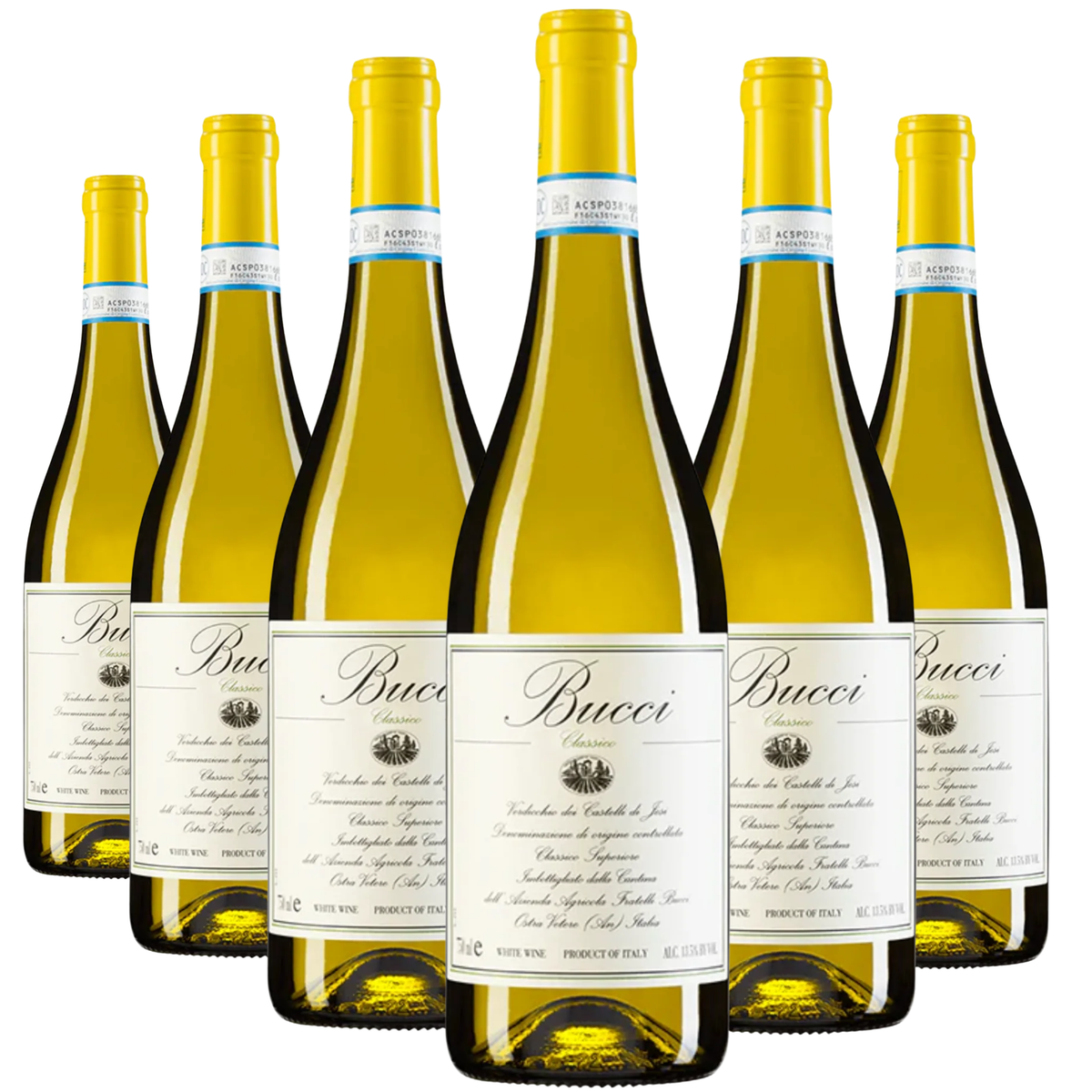 Bucci, Verdicchio dei Castelli di Jesi, Classico Superiore, 6-Bottle Case