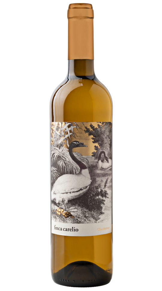 Finca Carelio, Chardonnay