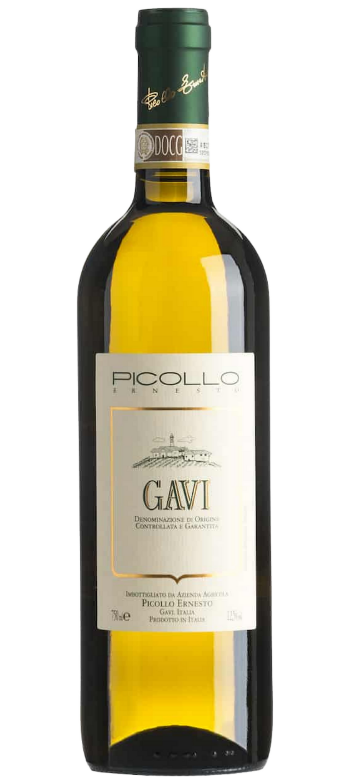 Picollo Ernesto, Gavi