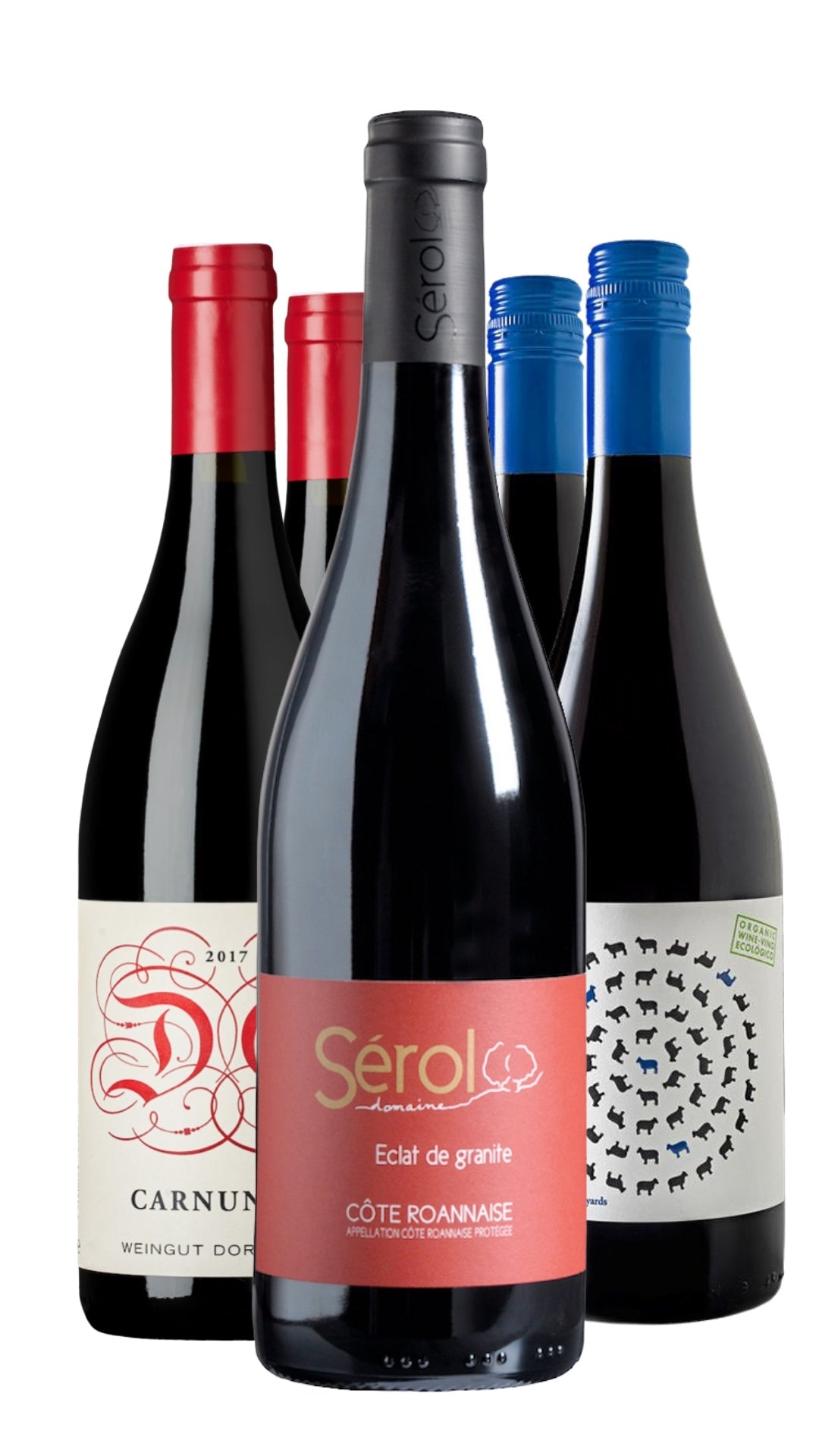 Organic shop red wine